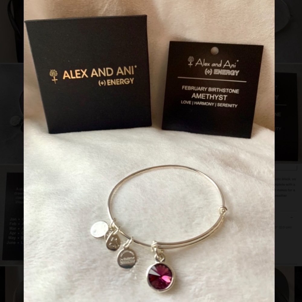 Alex and Ani February Birthstone Amethyst Bangle